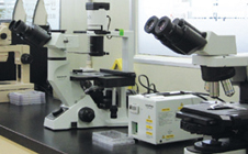 Aquatic organism test